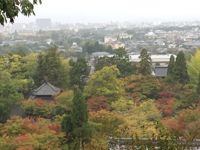 ☆紅葉☆